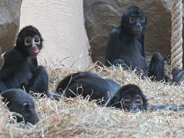 Foto: Brigitte Melder