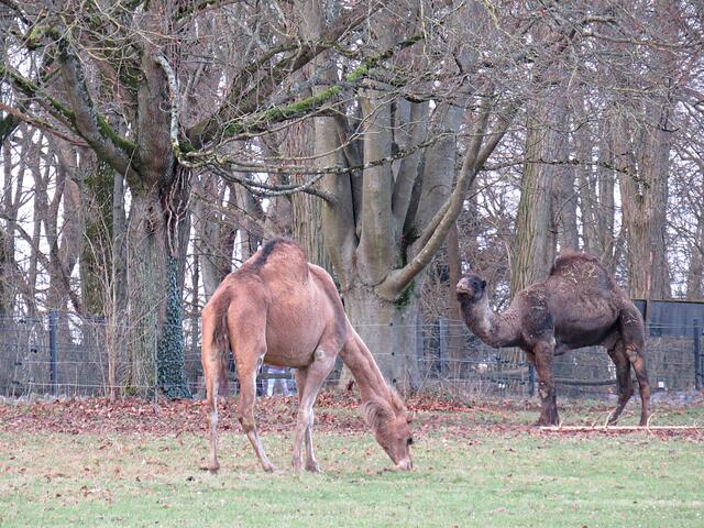 Foto: Brigitte Melder