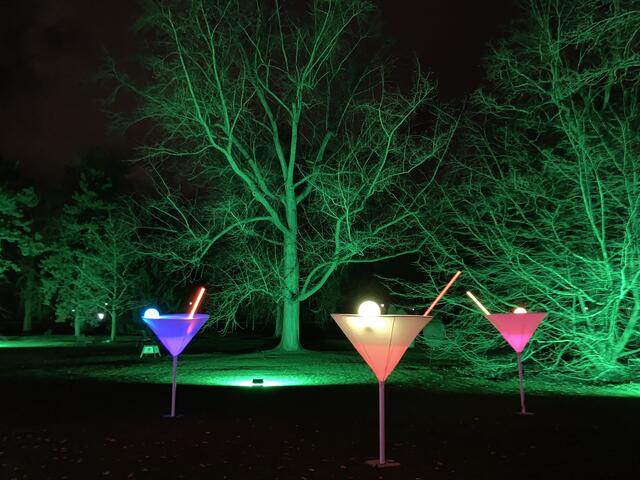 Die Winterlichter im Luisenpark finden vom 1. Januar bis 2. Februar 2025 statt. 

Update: Die Winterlichter im Luisenpark wurden um zwei Wochen bis zum Sonntag, 16. Februar 2025 verlängert.
 | Foto: Anouar Touir