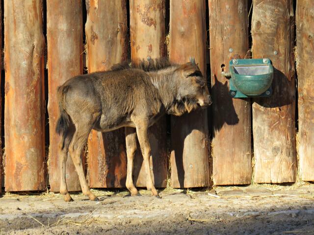 Foto: Brigitte Melder