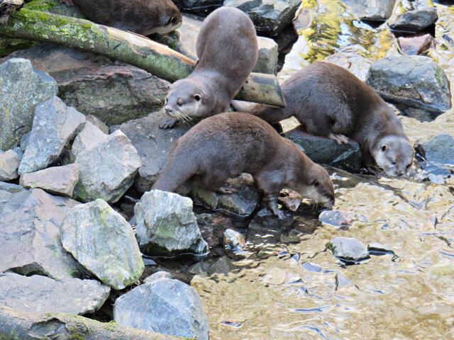 Foto: Brigitte Melder