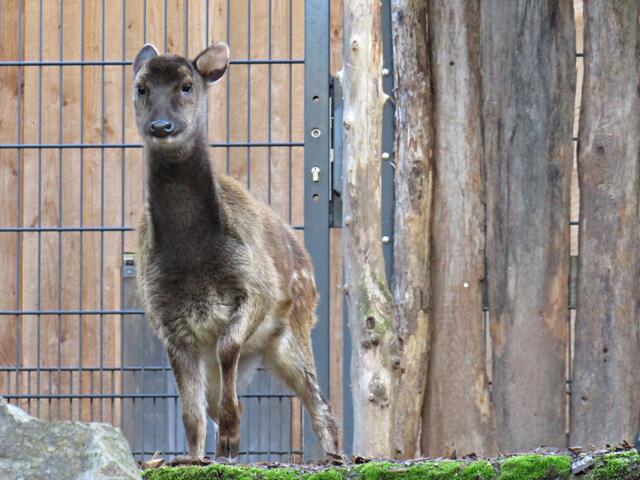 Foto: Brigitte Melder