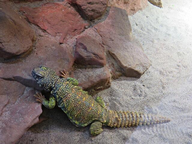 Foto: Brigitte Melder