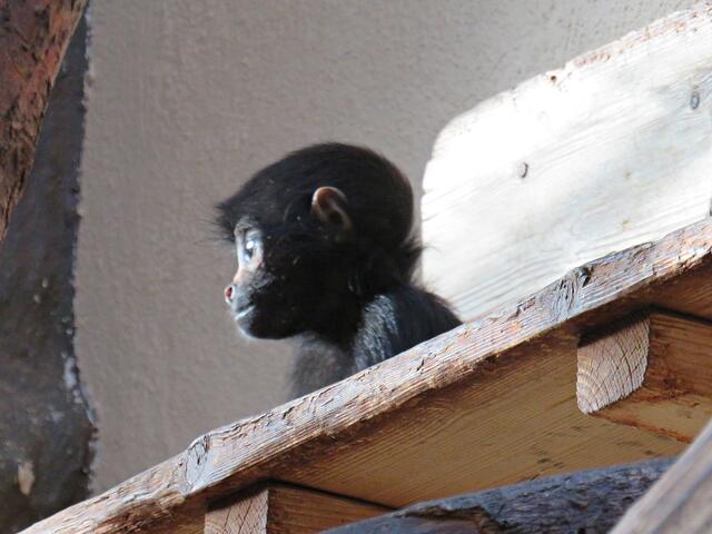 Foto: Brigitte Melder