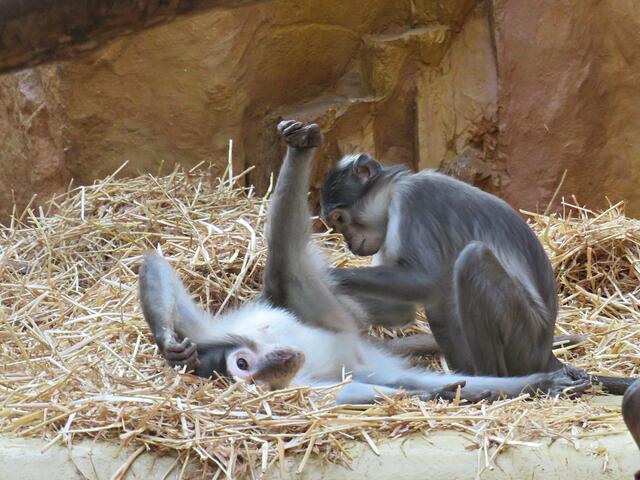 Foto: Brigitte Melder