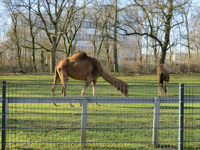 Foto: Brigitte Melder