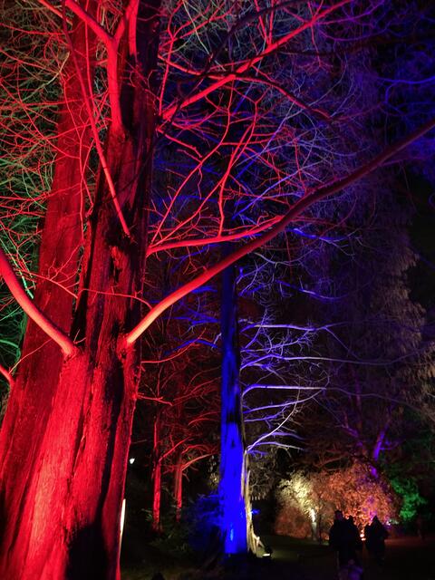 Die Winterlichter im Luisenpark finden vom 1. Januar bis 2. Februar 2025 statt. 

Update: Die Winterlichter im Luisenpark wurden um zwei Wochen bis zum Sonntag, 16. Februar 2025 verlängert.
 | Foto: Anouar Touir
