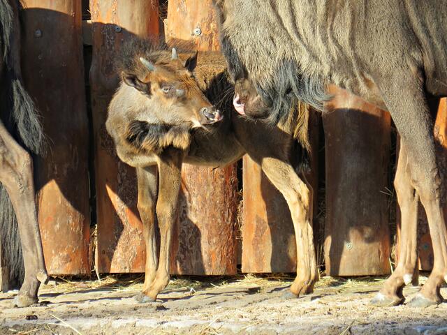 Foto: Brigitte Melder