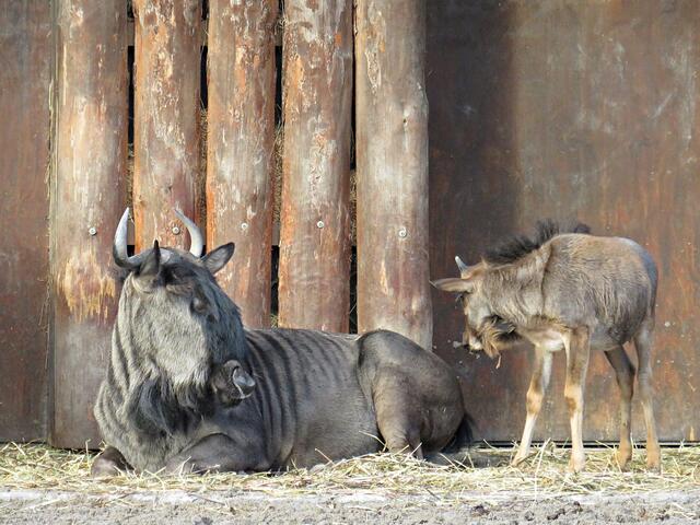 Foto: Brigitte Melder