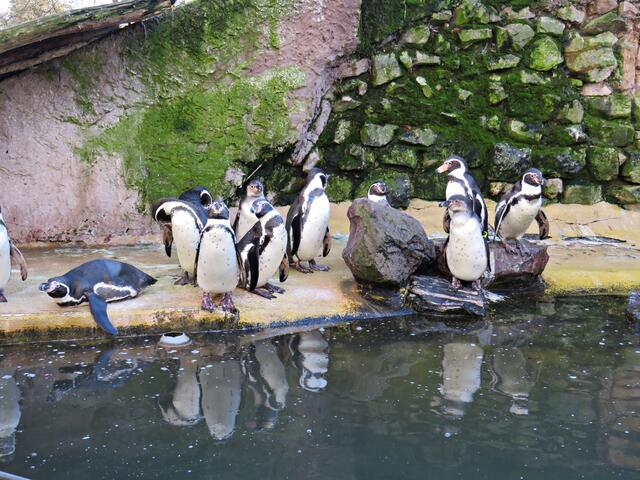 Foto: Brigitte Melder