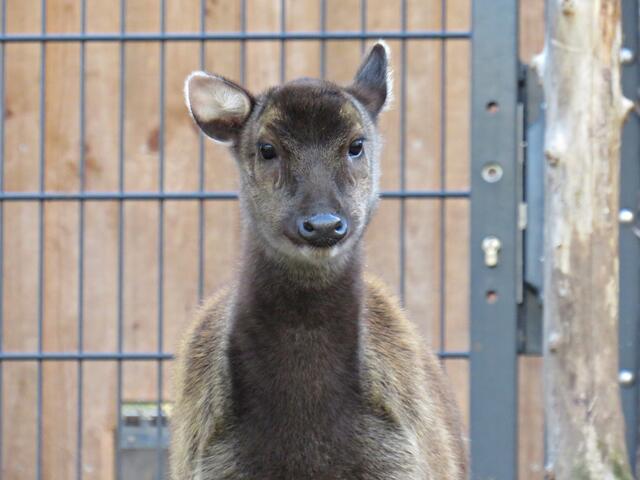 Foto: Brigitte Melder