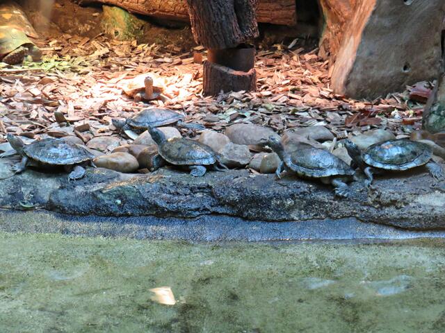 Foto: Brigitte Melder