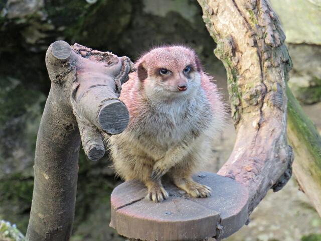 Foto: Brigitte Melder