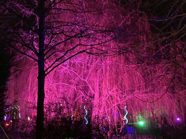 Die Winterlichter im Luisenpark finden vom 1. Januar bis 2. Februar 2025 statt. 

Update: Die Winterlichter im Luisenpark wurden um zwei Wochen bis zum Sonntag, 16. Februar 2025 verlängert.
 | Foto: Anouar Touir