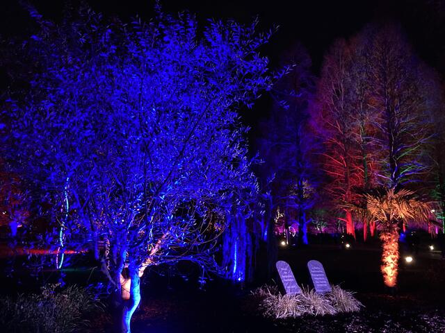 Die Winterlichter im Luisenpark finden vom 1. Januar bis 2. Februar 2025 statt. 

Update: Die Winterlichter im Luisenpark wurden um zwei Wochen bis zum Sonntag, 16. Februar 2025 verlängert.
 | Foto: Anouar Touir