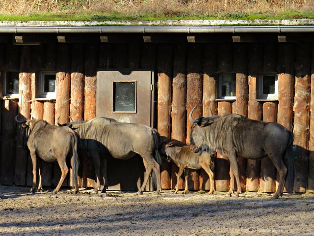 Foto: Brigitte Melder