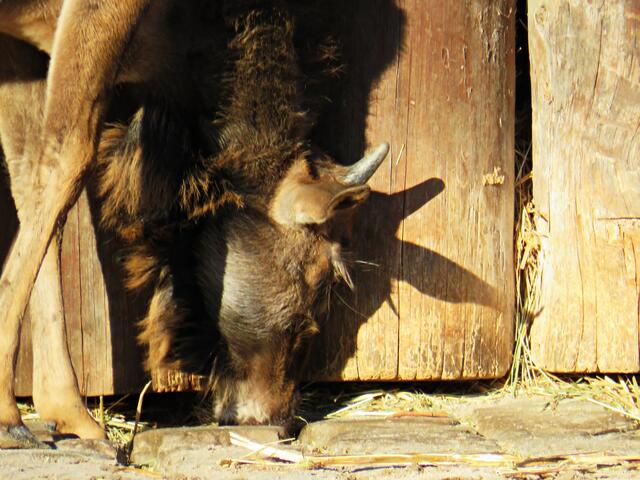 Foto: Brigitte Melder