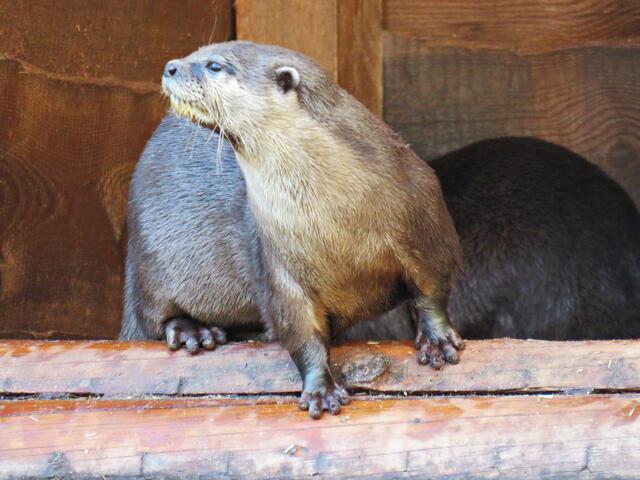 Foto: Brigitte Melder