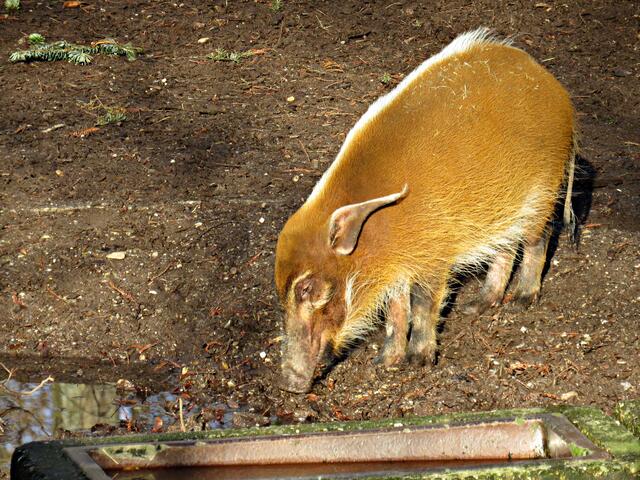 Foto: Brigitte Melder