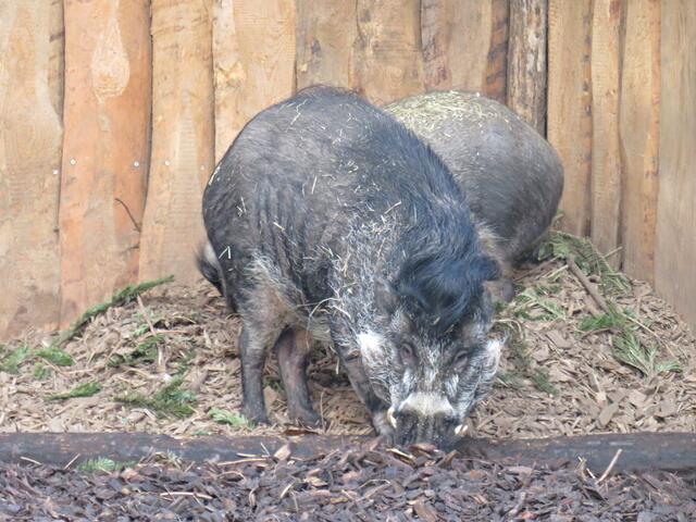 Foto: Brigitte Melder