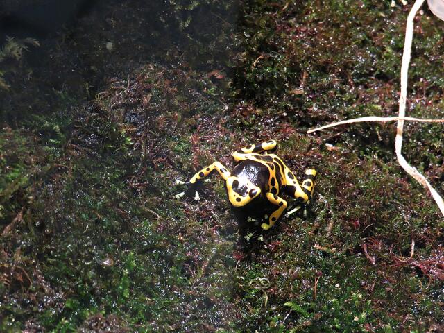 Foto: Brigitte Melder