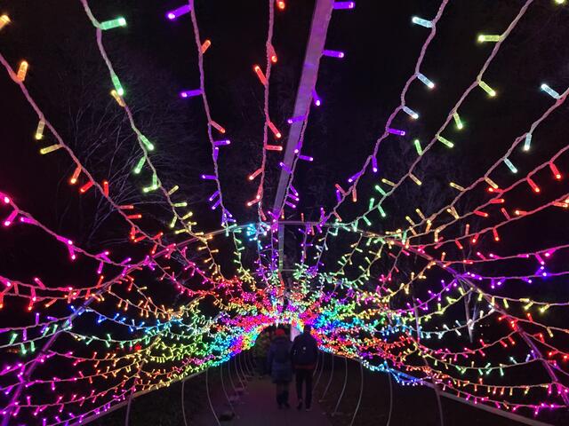 Die Winterlichter im Luisenpark finden vom 1. Januar bis 2. Februar 2025 statt. 

Update: Die Winterlichter im Luisenpark wurden um zwei Wochen bis zum Sonntag, 16. Februar 2025 verlängert.
 | Foto: Anouar Touir