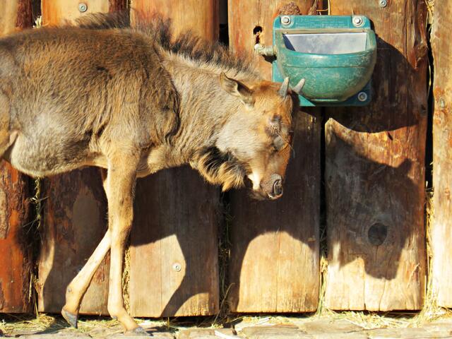 Foto: Brigitte Melder