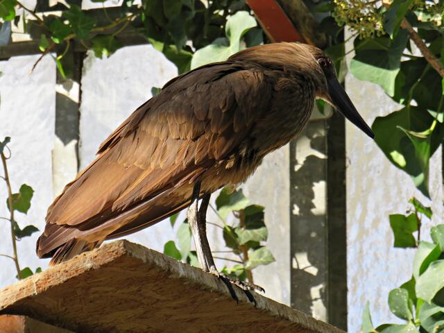 Foto: Brigitte Melder