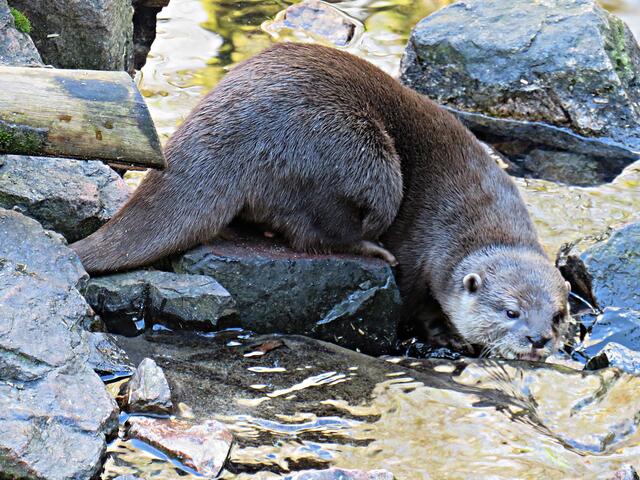 Foto: Brigitte Melder