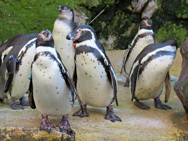 Foto: Brigitte Melder