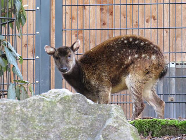 Foto: Brigitte Melder