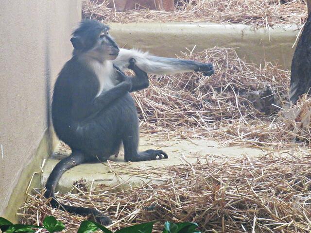 Foto: Brigitte Melder