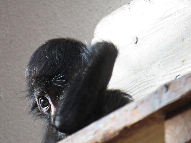 Foto: Brigitte Melder