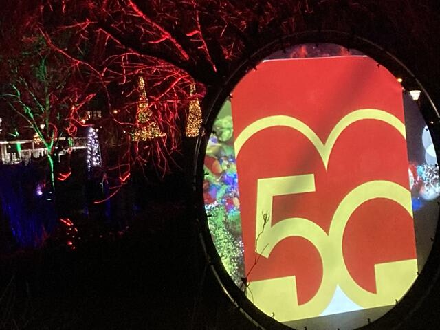 Die Winterlichter im Luisenpark finden vom 1. Januar bis 2. Februar 2025 statt. 

Update: Die Winterlichter im Luisenpark wurden um zwei Wochen bis zum Sonntag, 16. Februar 2025 verlängert.
 | Foto: Anouar Touir
