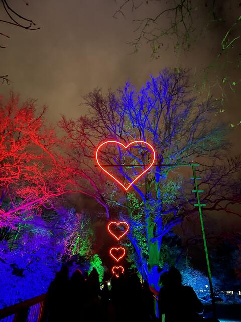 Die Winterlichter im Luisenpark finden vom 1. Januar bis 2. Februar 2025 statt. 

Update: Die Winterlichter im Luisenpark wurden um zwei Wochen bis zum Sonntag, 16. Februar 2025 verlängert.
 | Foto: Anouar Touir