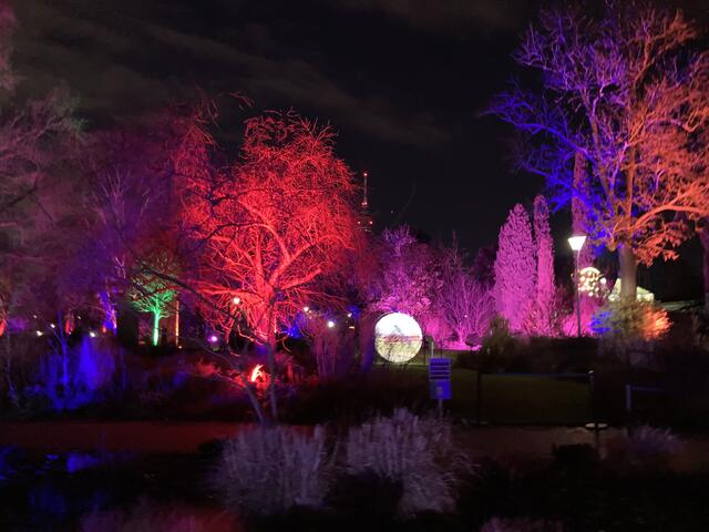 Die Winterlichter im Luisenpark finden vom 1. Januar bis 2. Februar 2025 statt. 

Update: Die Winterlichter im Luisenpark wurden um zwei Wochen bis zum Sonntag, 16. Februar 2025 verlängert.
 | Foto: Anouar Touir