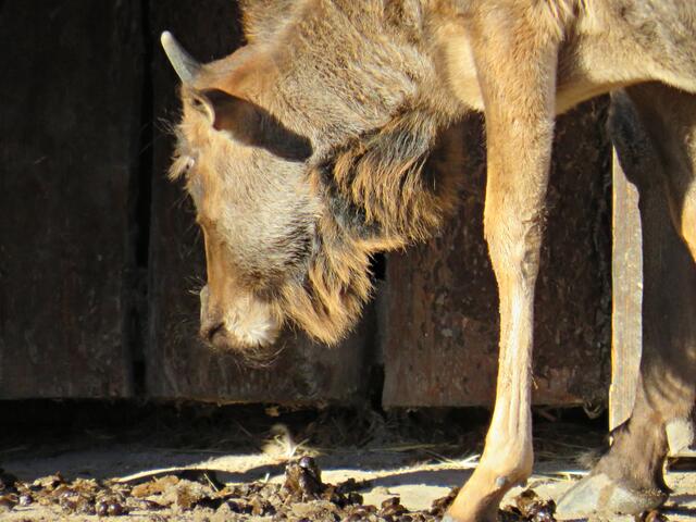 Foto: Brigitte Melder