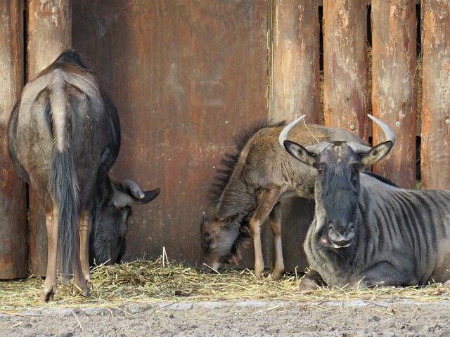 Foto: Brigitte Melder