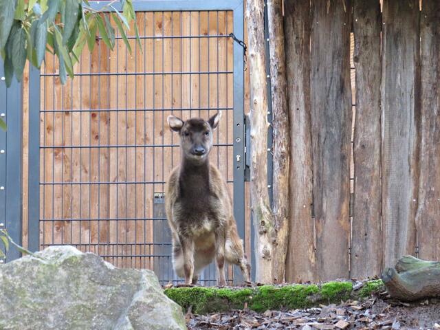 Foto: Brigitte Melder