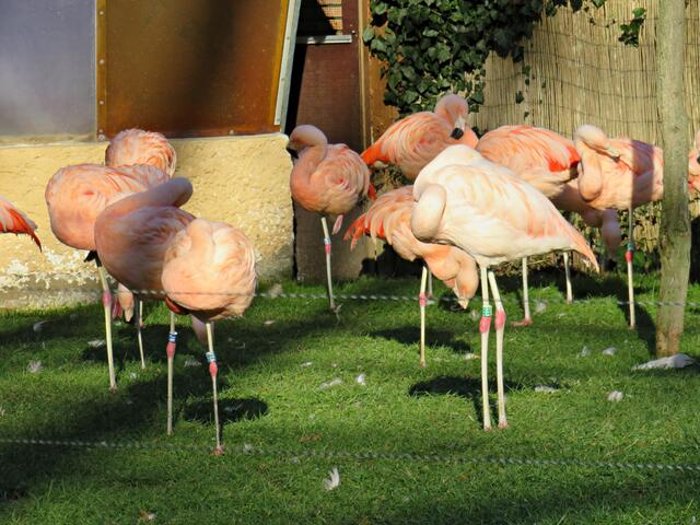 Foto: Brigitte Melder