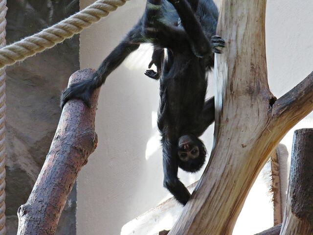 Foto: Brigitte Melder