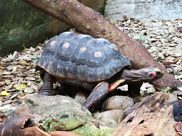 Foto: Brigitte Melder