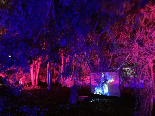Die Winterlichter im Luisenpark finden vom 1. Januar bis 2. Februar 2025 statt. 

Update: Die Winterlichter im Luisenpark wurden um zwei Wochen bis zum Sonntag, 16. Februar 2025 verlängert.
 | Foto: Anouar Touir