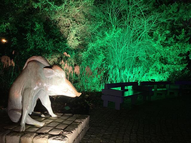 Die Winterlichter im Luisenpark finden vom 1. Januar bis 2. Februar 2025 statt. 

Update: Die Winterlichter im Luisenpark wurden um zwei Wochen bis zum Sonntag, 16. Februar 2025 verlängert.
 | Foto: Anouar Touir