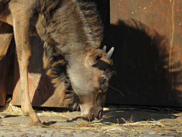 Foto: Brigitte Melder