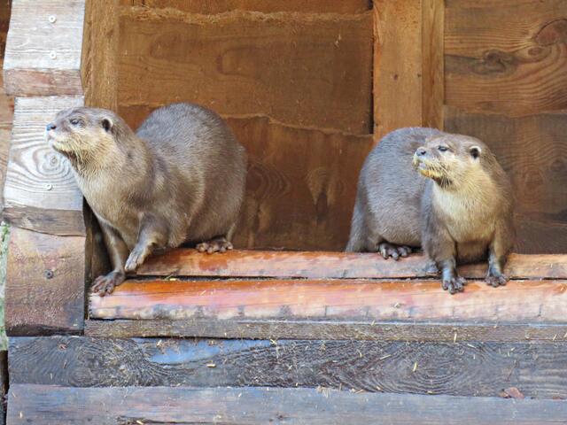 Foto: Brigitte Melder