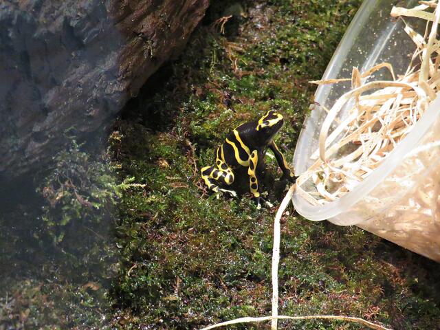 Foto: Brigitte Melder