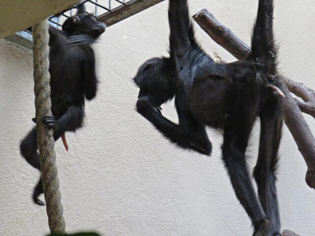 Foto: Brigitte Melder