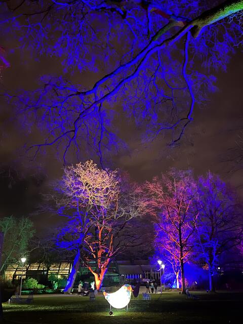 Die Winterlichter im Luisenpark finden vom 1. Januar bis 2. Februar 2025 statt. 

Update: Die Winterlichter im Luisenpark wurden um zwei Wochen bis zum Sonntag, 16. Februar 2025 verlängert.
 | Foto: Anouar Touir