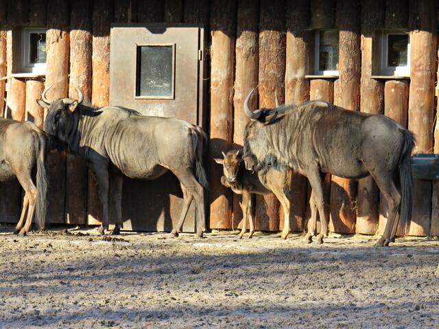 Foto: Brigitte Melder